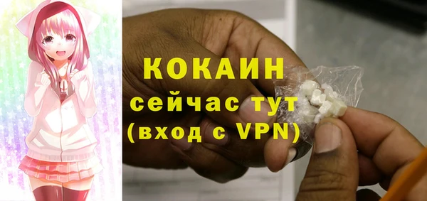 mdpv Богородицк