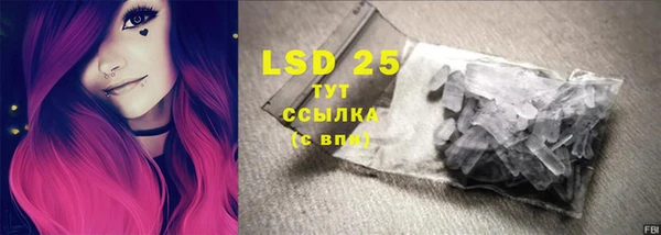 ГАЛЛЮЦИНОГЕННЫЕ ГРИБЫ Богданович