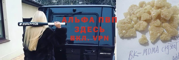 ГАЛЛЮЦИНОГЕННЫЕ ГРИБЫ Богданович