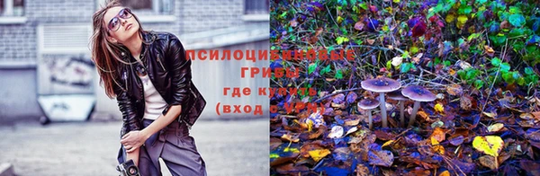mdpv Богородицк