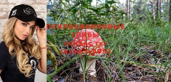 ГАЛЛЮЦИНОГЕННЫЕ ГРИБЫ Богданович