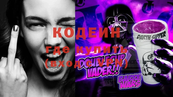 ГАЛЛЮЦИНОГЕННЫЕ ГРИБЫ Богданович