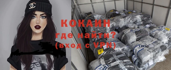 ГАЛЛЮЦИНОГЕННЫЕ ГРИБЫ Богданович