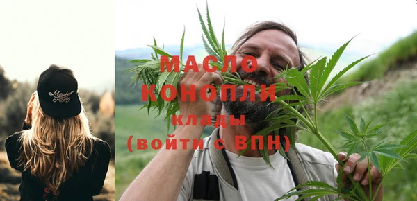 ГАЛЛЮЦИНОГЕННЫЕ ГРИБЫ Богданович