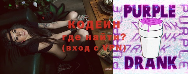 ГАЛЛЮЦИНОГЕННЫЕ ГРИБЫ Богданович