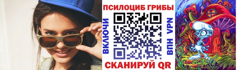 Купить закладки  Лыткарино  Псилоцибиновые грибы MAGIC MUSHROOMS 