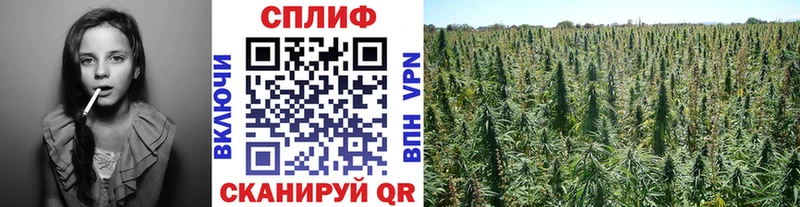 Купить закладки Лыткарино Конопля ГИДРОПОН